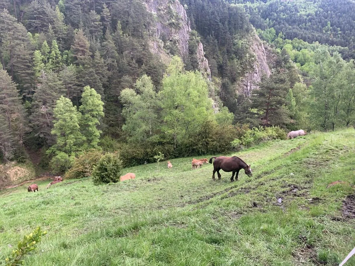 Siscaro - Peu Del Riu 310 - Vall D'Incles - Soldeu Apartment