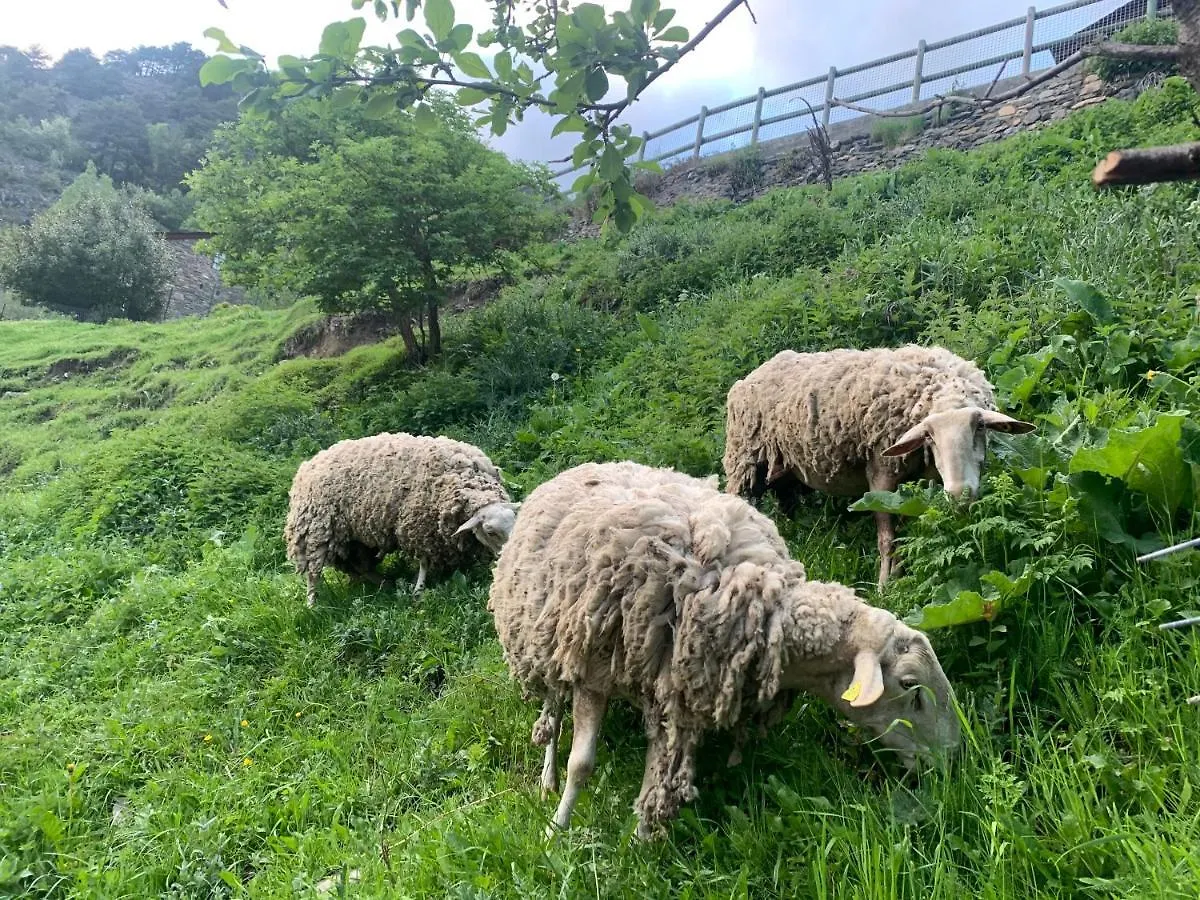 Siscaro - Peu Del Riu 310 - Vall D'Incles - Soldeu Apartment Andorra